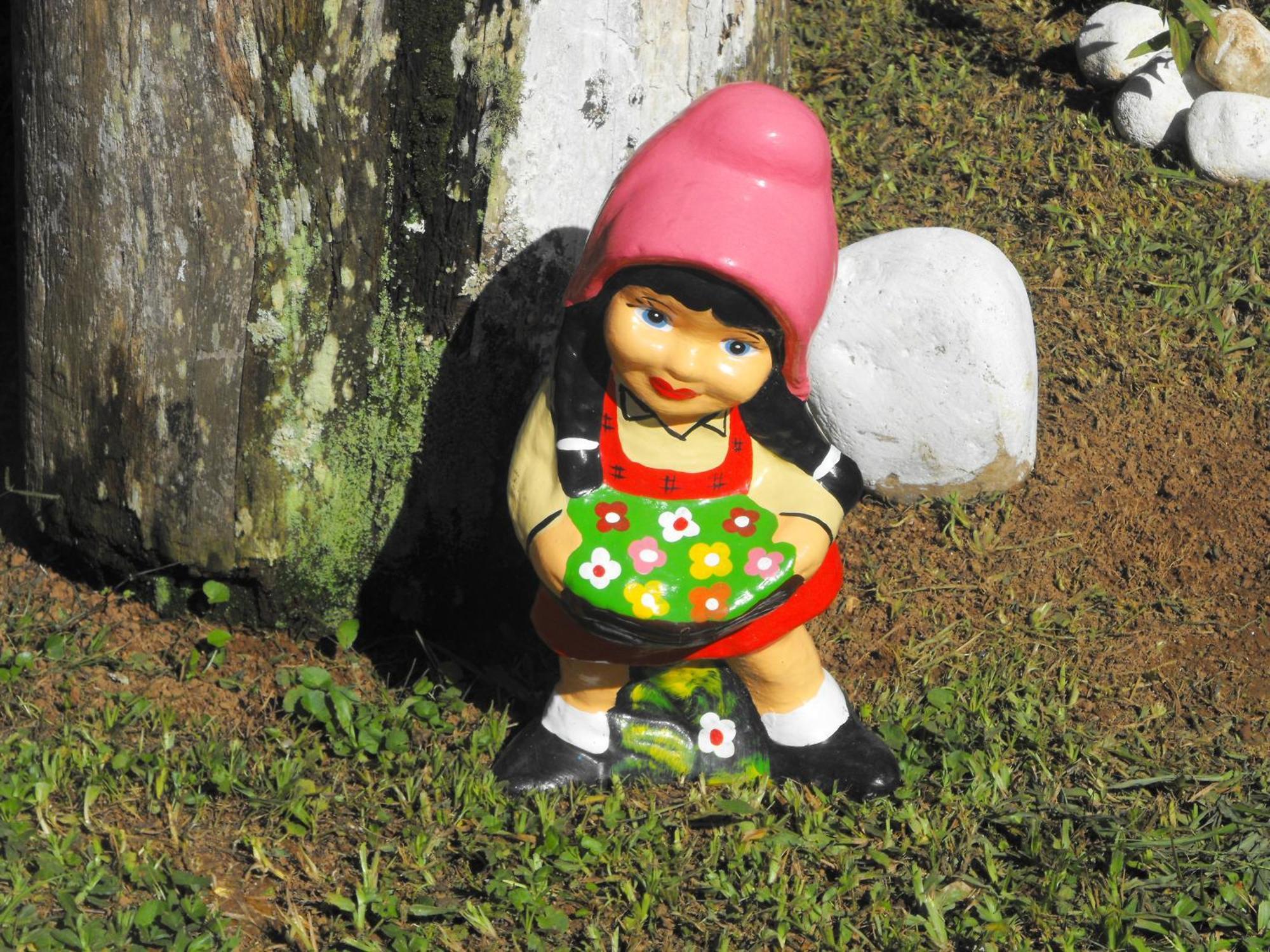 Pousada Cascata Dos Amores Teresopolis Exterior photo